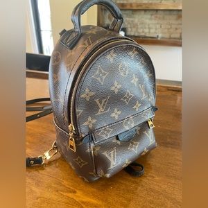 Louis Vuitton Palm Springs Mini Backpack